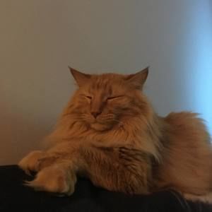 Meet your Posher, Kelli